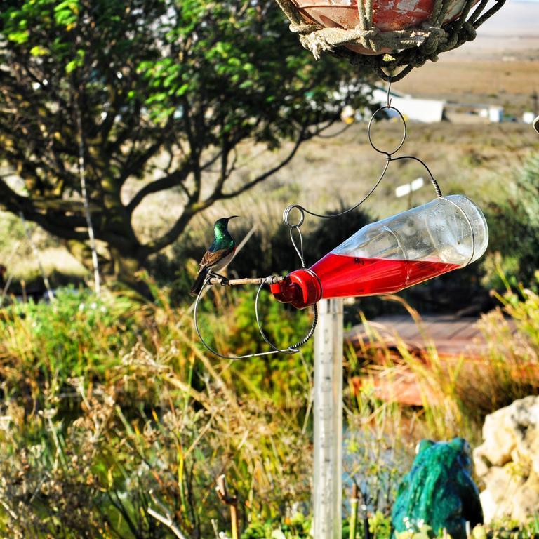 Farr Out Guest House Paternoster Exterior foto